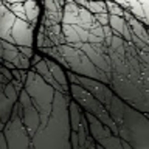 Meet your Posher, Sameeha